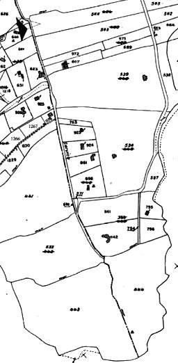 Cadastre de Scogliu Rossu