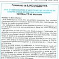 Linguizzetta Bravone. Instauration d’un périmètre de centralité; Le 21 octobre 2013.