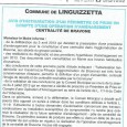 Linguizzetta Bravone. Instauration d’un périmètre de centralité; Le 21 octobre 2013.