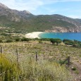 Les responsables du Padduc ont refusé d’intégrer les ZNIEFF 1 dans les espaces remarquables ou caractéristiques de la loi Littoral (ERC). La DREAL de Corse, Direction Régionale de l’Environnement,  a soutenu […]
