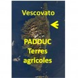 La consommation programmée des espaces agricoles de forte potentialité du PLU n’est pas  compatible avec les orientations du Padduc. Conclusion : Le PADDUC n’est pas encore opérationnel  que la consommation […]