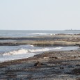 La construction du port de Taverna a entraîné une importante érosion du littoral. Pour la contrer, des épis en tubes géotextile remplis de sable ont été mis en place . […]