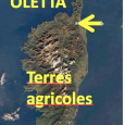 Le T.A. annule les zonages qui portaient atteinte aux terres agricoles  Le P.L.U. d’Oletta approuvé le 28 mars 2013 visait à développer une urbanisation surdimensionnée, dans des conditions incompatibles avec […]