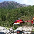 L’incendie qui s’est déclaré hier sur la commune de Venacu laisse déjà des terres noires au-dessus et en dessous du “Rasu Biancu”, gisement de marbre clair très connu sur la […]