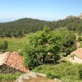 La mode est aux « bergeries »… littorales et montagnardes ! BITALZA, perché à 1 100 m sur le plateau de Cagna, est célèbre pour ses 53 bergeries, joyaux de l’architecture montagnarde. Sur […]