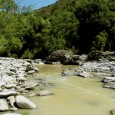 En aval de Corti, le Tavignani très pollué, 3 juillet 2016