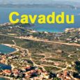 Cavaddu est inconstructible. Le Conseil d’État vient de confirmer la décision de la Cour d’appel de Marseille annulant le PLU DE L’ÎLE DE CAVADDU sur la commune de Bunifaziu. En septembre 2016, ABCDE […]
