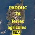 La délibération n° 15/235 AC du 2 octobre 2015 approuvant le PADDUC  est annulée en tant qu’elle arrête la carte des espaces stratégiques agricoles et classe en ESA le secteur […]