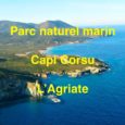 Nous voulons un Parc Marin d’excellence comportant une ou des réserves intégrales qui permettraient de répondre aux attentes de tous les secteurs économiques, écologiques et donneraient tout son sens à la création […]