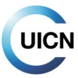 Lundi 26 novembre, l’ UICN, Union internationale pour la conservation de la nature, la Fondation Prince Albert II de Monaco, l’Université de Corse et l’OEC, Office de l’environnement de la Corse, ont organisé […]