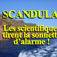 Via Stella a diffusé un nouveau reportage sur Scandula le 6 septembre 2019, à voir et à revoir : https://france3-regions.francetvinfo.fr/corse/haute-corse/corse/reserve-scandola-scientifiques-tirent-sonnette-alarme-1718917.html Les éléments scientifiques confirmant la réalité de l’atteinte portée au site […]