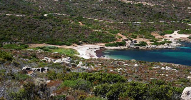 4 / 08 / 2020, Calvi, plage de L’Alga : l’évidence des beautés un temps confisquées 10/02/2012 : https://www.ulevante.fr/occupation-illegale-du-vallon-de-lalga-calvi-le-«-paillotier-»-m-maraninchi-condamne/ 11/05/2018 : https://www.ulevante.fr/calvi-a-revellata-paillote-mar-a-beach-plage-de-lalga/ 18/06/2018 : https://www.ulevante.fr/plage-de-lalga-mare-beach-a-calvi-le-festival-dillegalites-continue/ 16/01/2019 : https://www.ulevante.fr/deux-demolitions-de-constructions-illegales-en-haute-corse/