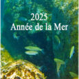 Magnifique panorama que nous a envoyé une adhérente. Découvrez de superbes photos de la faune marine du littoral corse. Bon spectacle !